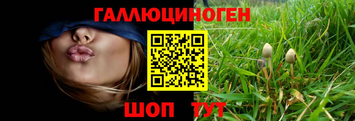 Сызрань  Псилоцибиновые грибы ЛСД  Псилоцибиновые грибы MAGIC MUSHROOMS  Вход с VPN 